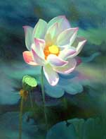 White Pink Lotus II